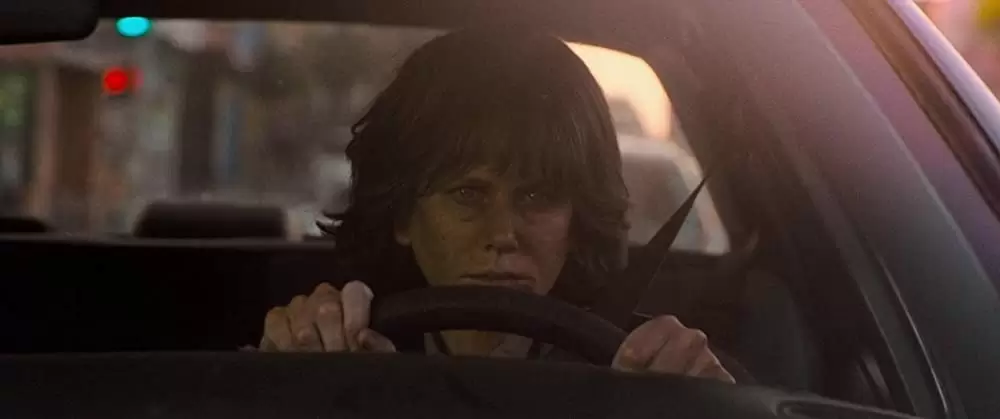 ストレイ・ドッグの画像