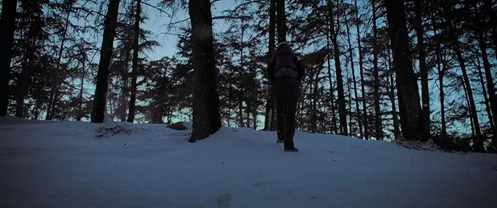 ストレイ・ドッグの画像