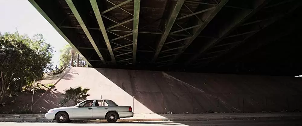 ストレイ・ドッグの画像