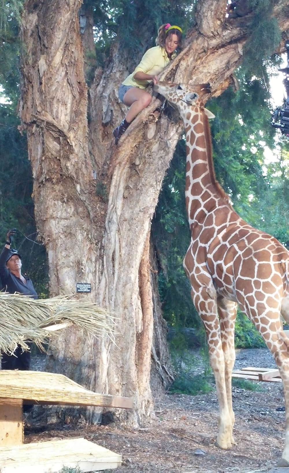 ZOOMBIE ズーンビの画像