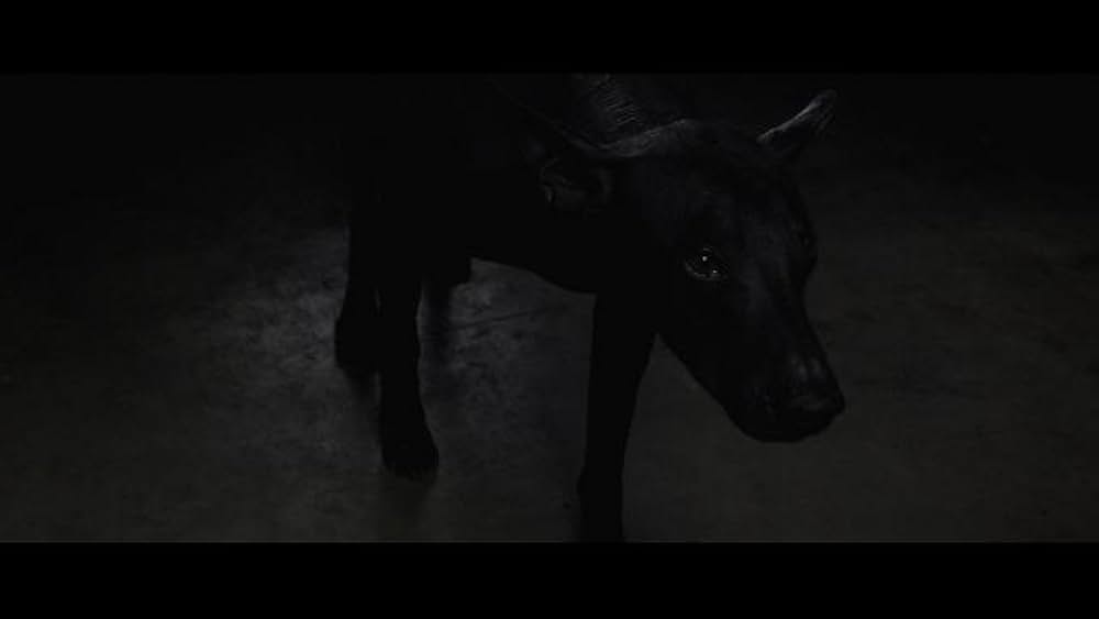 デッドガールの画像