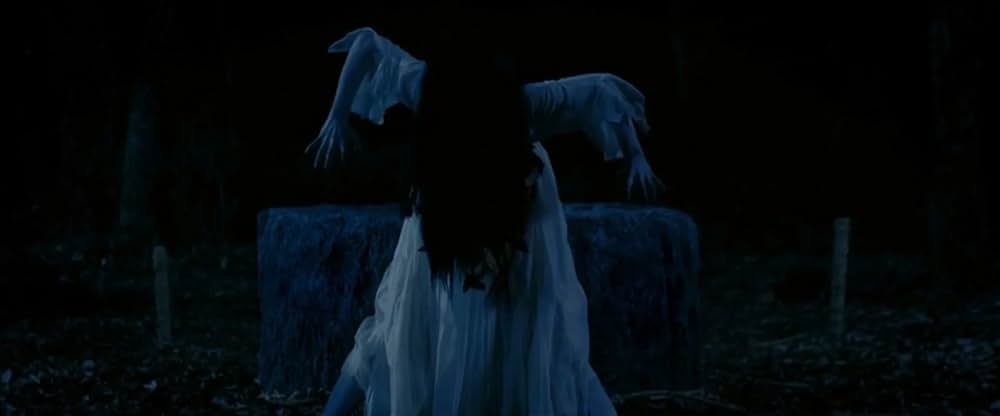 貞子vs伽椰子の画像