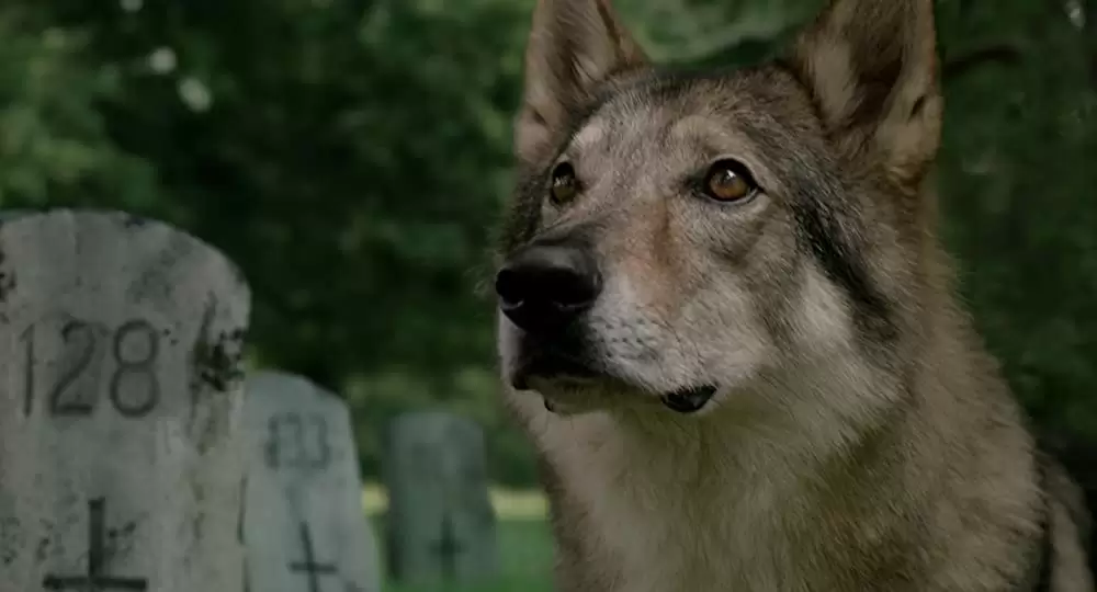 ニュー・ミュータントの画像