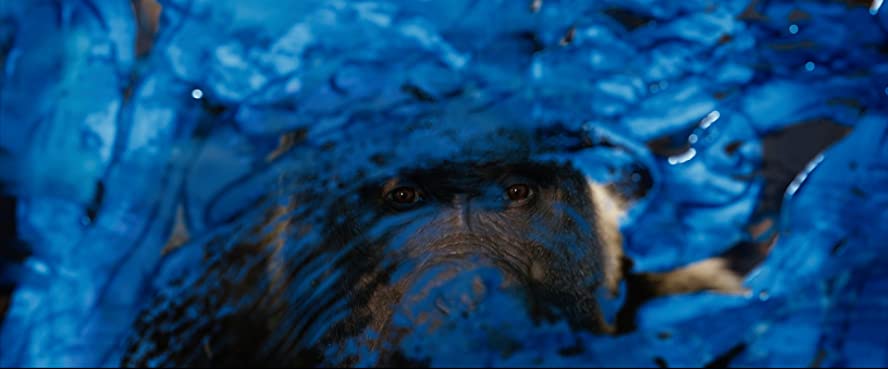 ゴリラのアイヴァンの画像