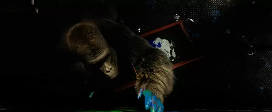 「ゴリラのアイヴァン」サム・ロックウェルの画像