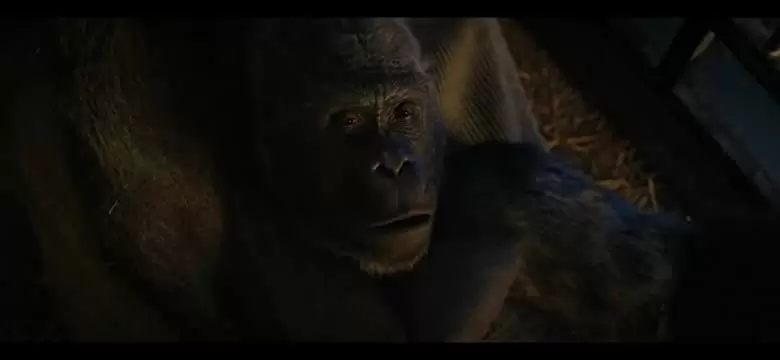 「ゴリラのアイヴァン」サム・ロックウェルの画像