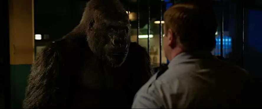 「ゴリラのアイヴァン」サム・ロックウェル & Owain Arthurの画像