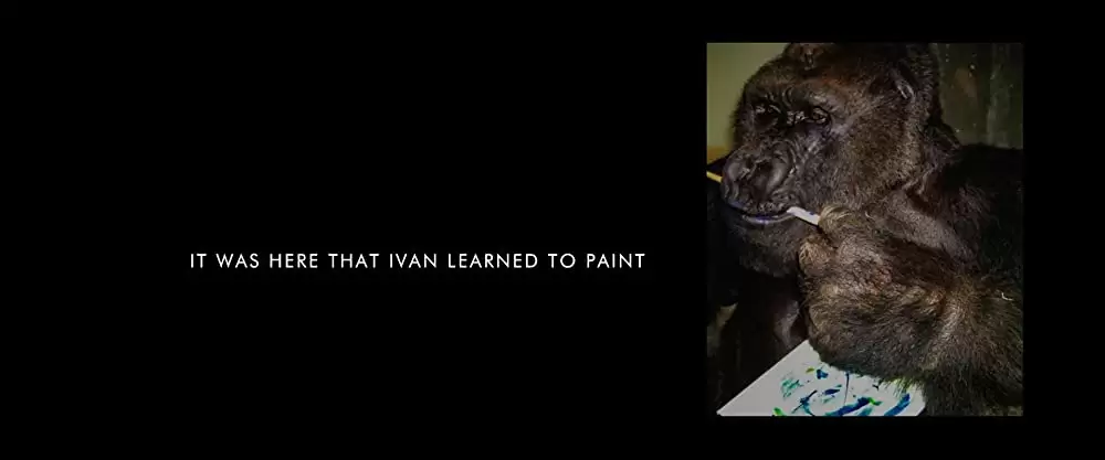 「ゴリラのアイヴァン」の画像