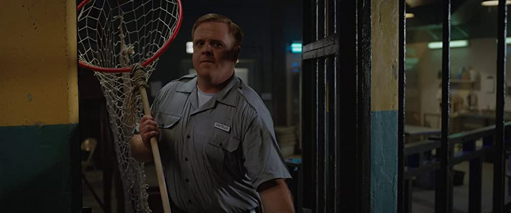 ゴリラのアイヴァンの画像