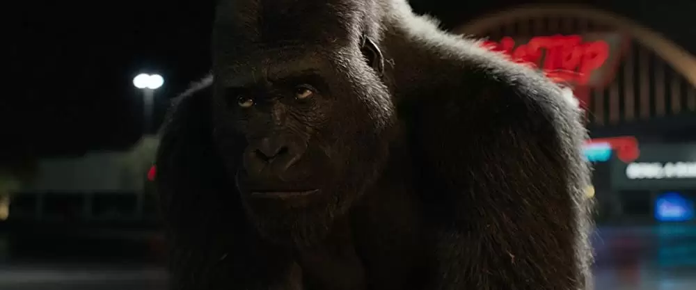 「ゴリラのアイヴァン」サム・ロックウェルの画像