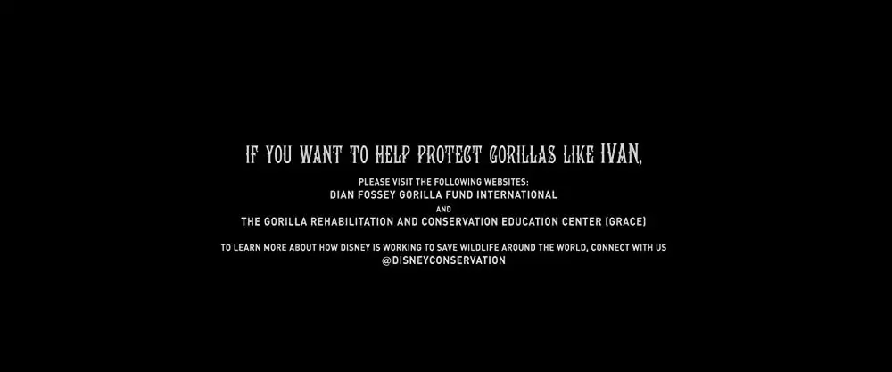 「ゴリラのアイヴァン」の画像