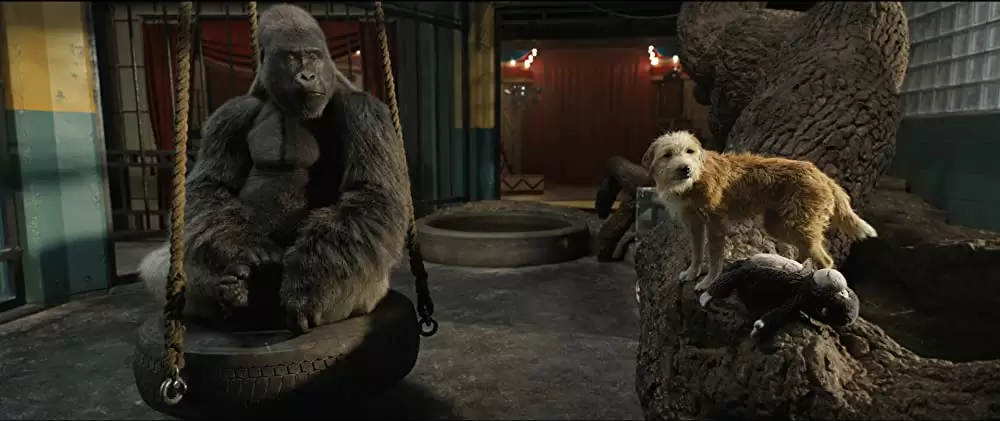 「ゴリラのアイヴァン」ダニー・デビート & サム・ロックウェルの画像