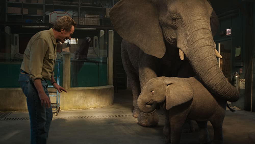 ゴリラのアイヴァンの画像