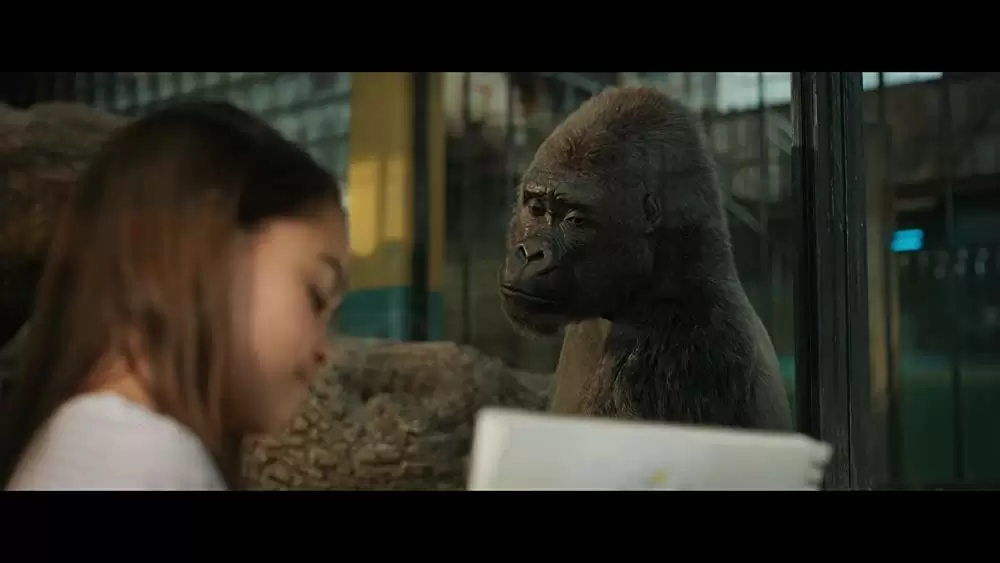 「ゴリラのアイヴァン」サム・ロックウェル & アリアナ・グリーンブラットの画像