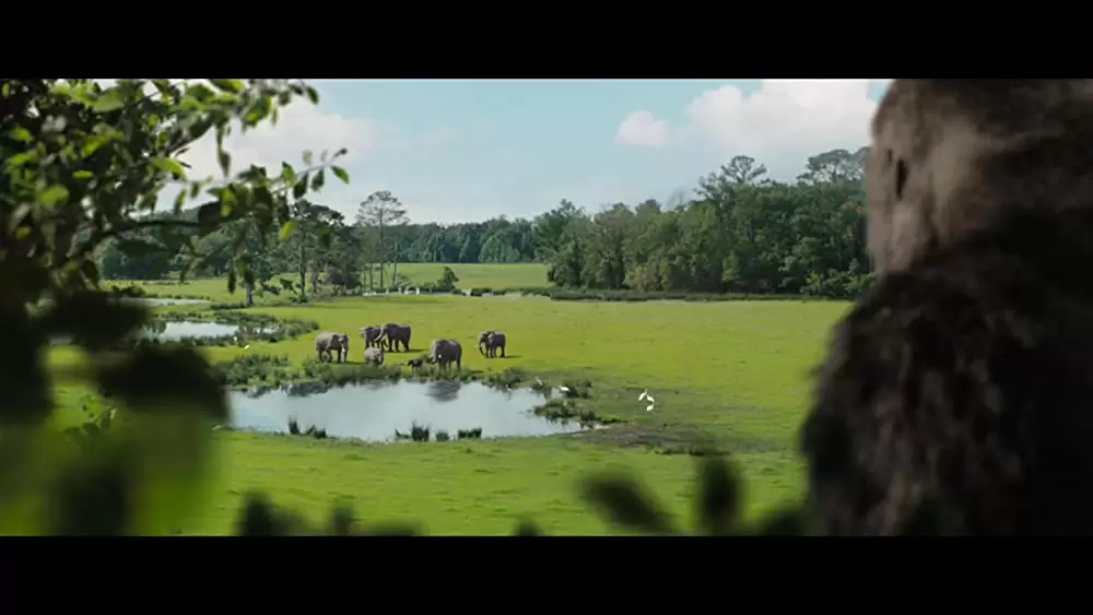 「ゴリラのアイヴァン」サム・ロックウェルの画像