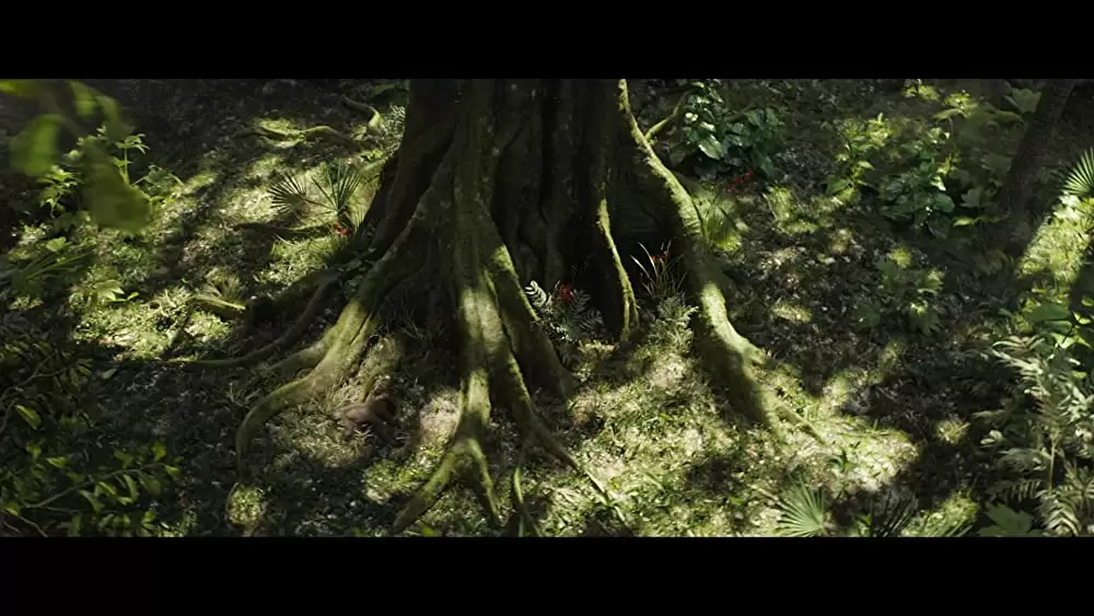 「ゴリラのアイヴァン」の画像