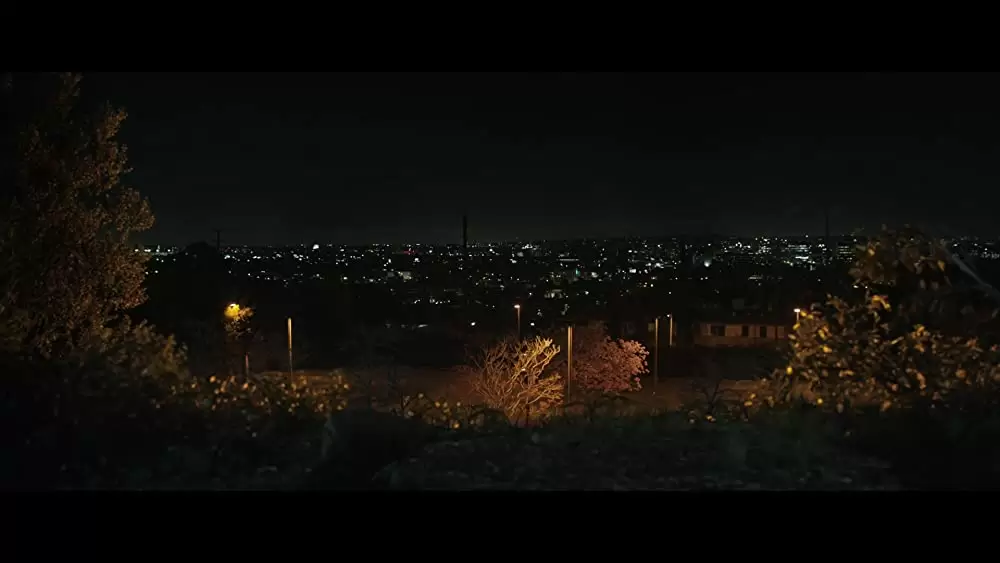 「ゴリラのアイヴァン」の画像