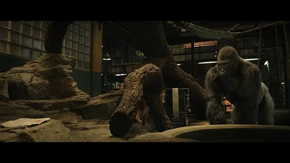 「ゴリラのアイヴァン」サム・ロックウェルの画像