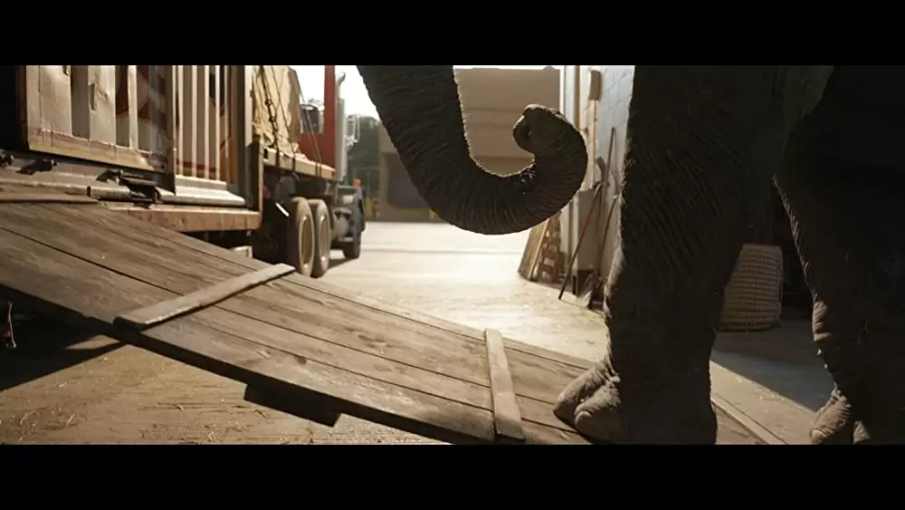 「ゴリラのアイヴァン」アンジェリーナ・ジョリーの画像