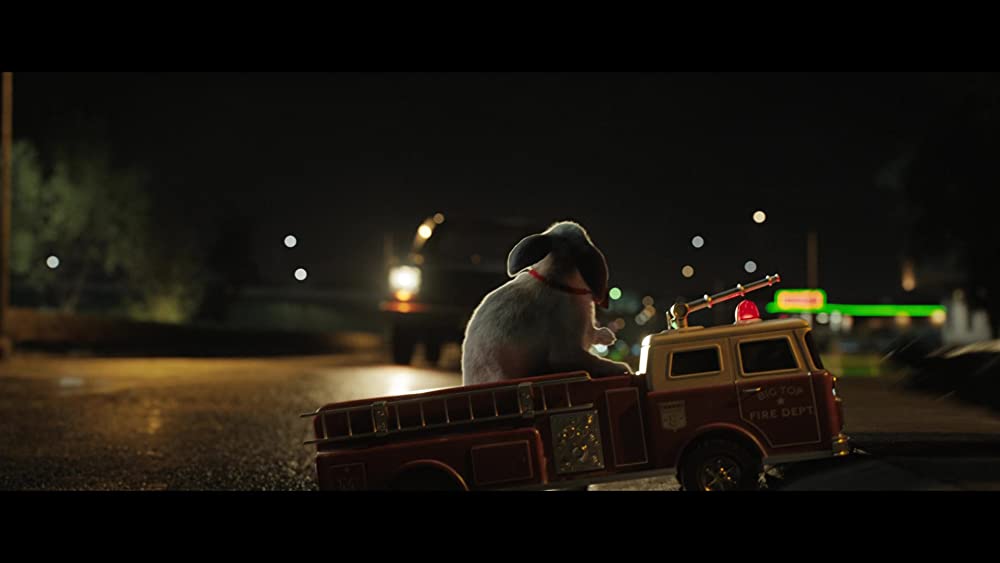 ゴリラのアイヴァンの画像