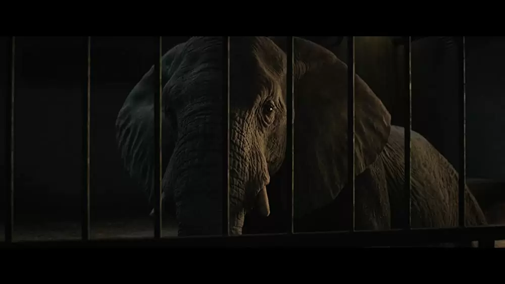 「ゴリラのアイヴァン」アンジェリーナ・ジョリーの画像