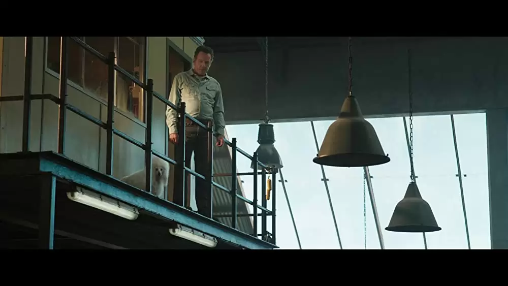 「ゴリラのアイヴァン」ヘレン・ミレン & ブライアン・クランストンの画像