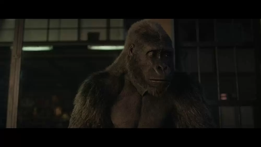 「ゴリラのアイヴァン」サム・ロックウェルの画像