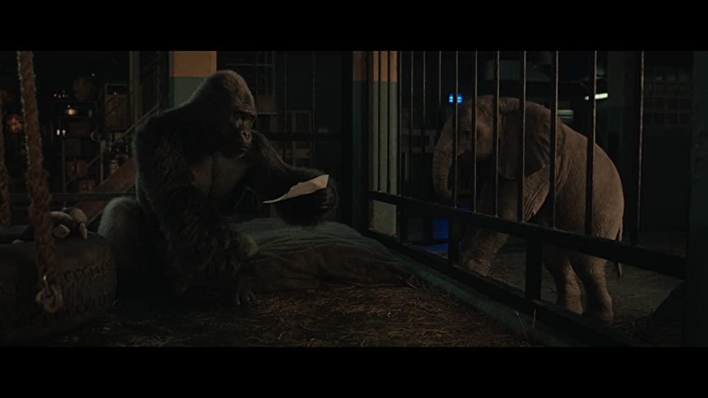 ゴリラのアイヴァンの画像