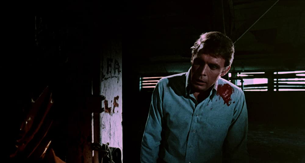 アリス・スウィート・アリスの画像