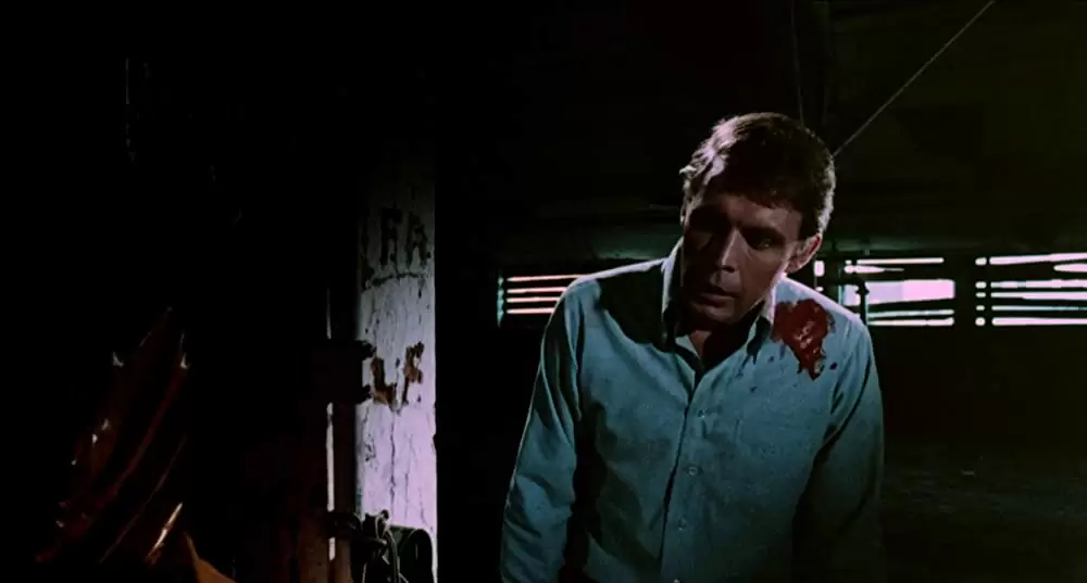 アリス・スウィート・アリスの画像