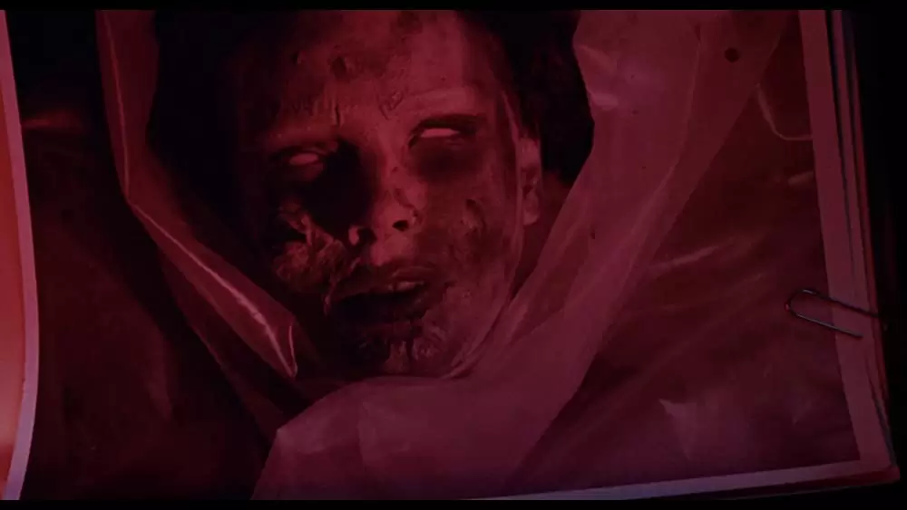 アリス・スウィート・アリスの画像