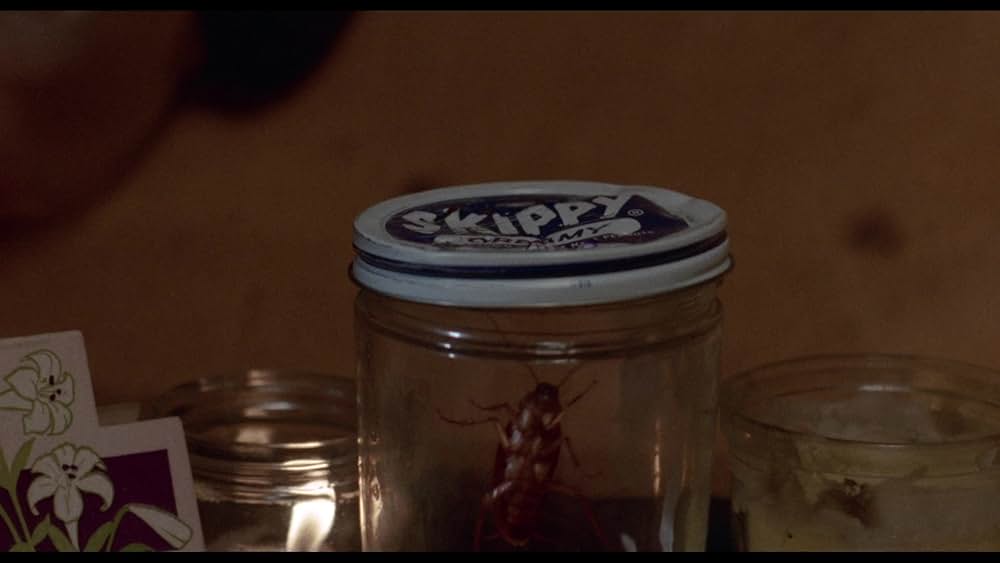 アリス・スウィート・アリスの画像