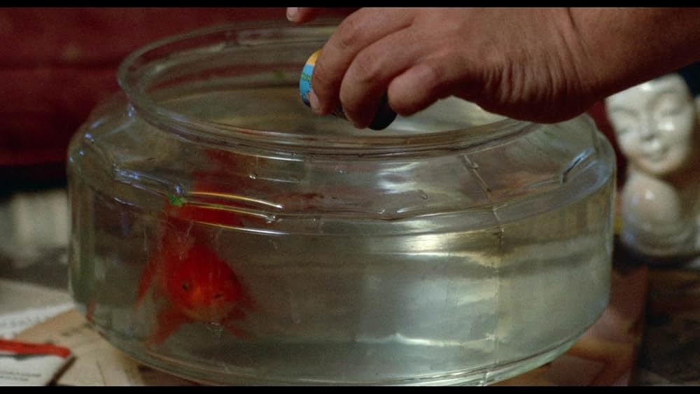 アリス・スウィート・アリスの画像