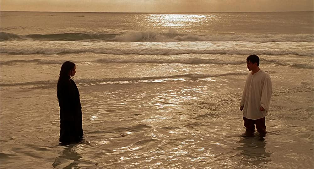 ウォルター少年と、夏の休日の画像