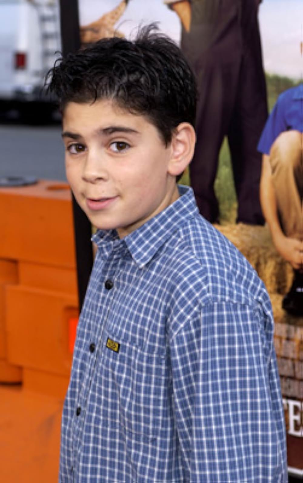 ウォルター少年と、夏の休日の画像