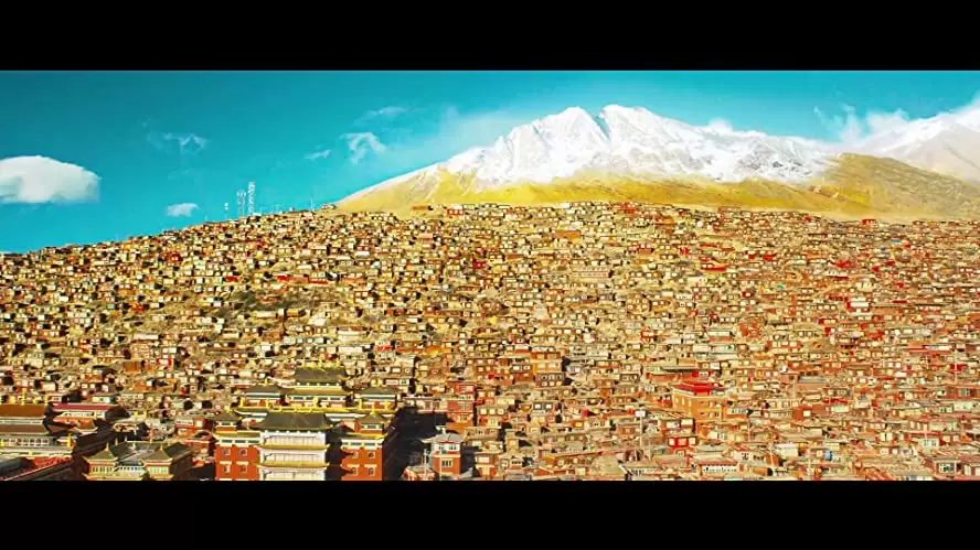 カンフー・ヨガの画像