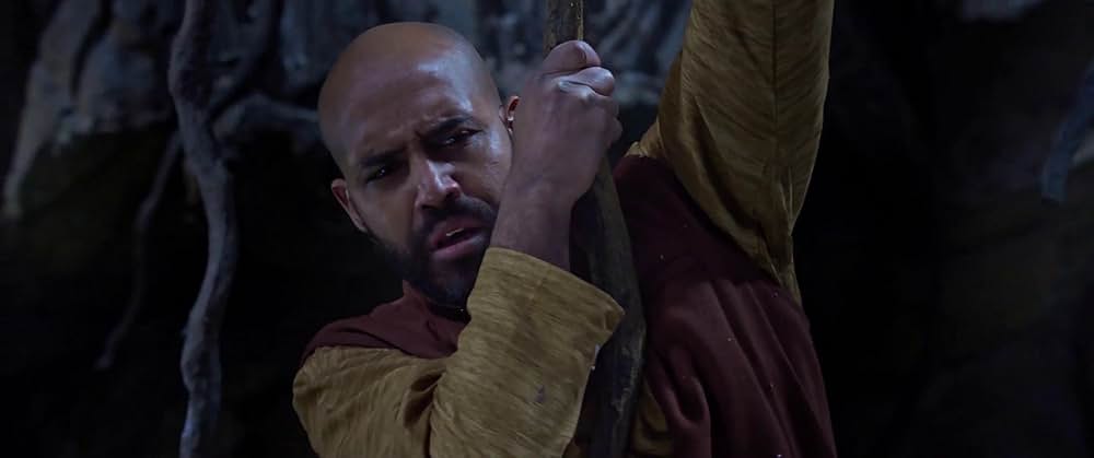 カンフー・ヨガの画像