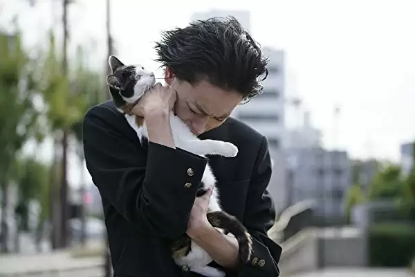 セトウツミの画像