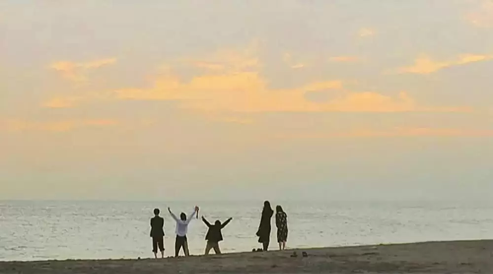 ハチミツとクローバーの画像