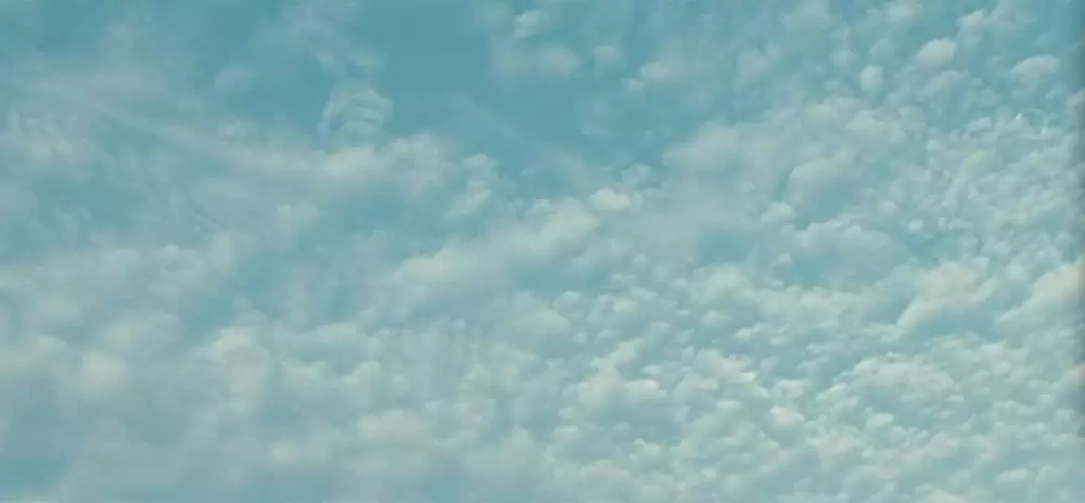 ウォール・ストリートの画像