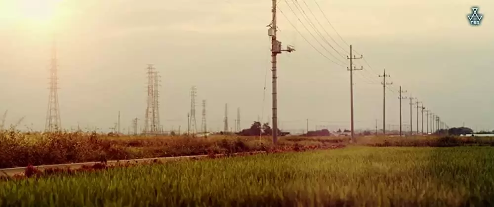 「青の帰り道」の画像