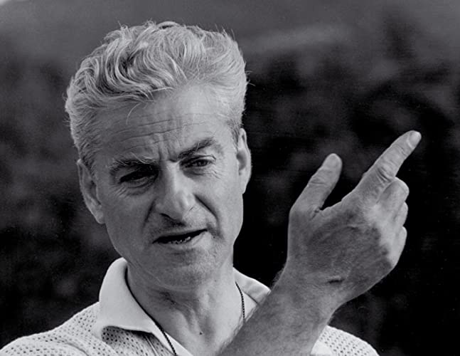 太陽がいっぱいの画像