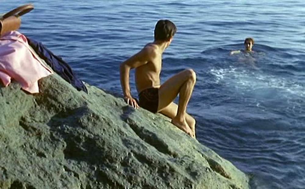 太陽がいっぱいの画像