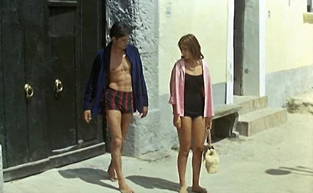 太陽がいっぱいの画像