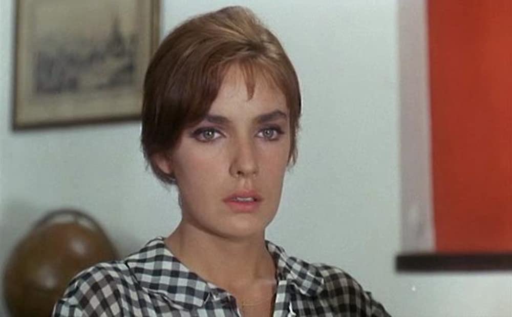 太陽がいっぱいの画像