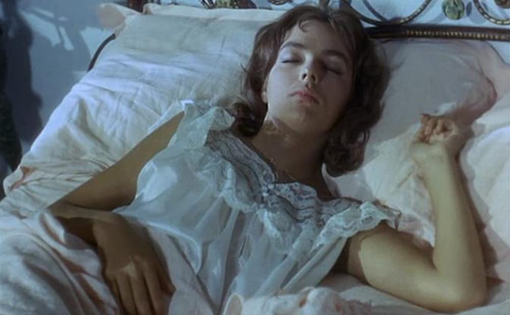 太陽がいっぱいの画像