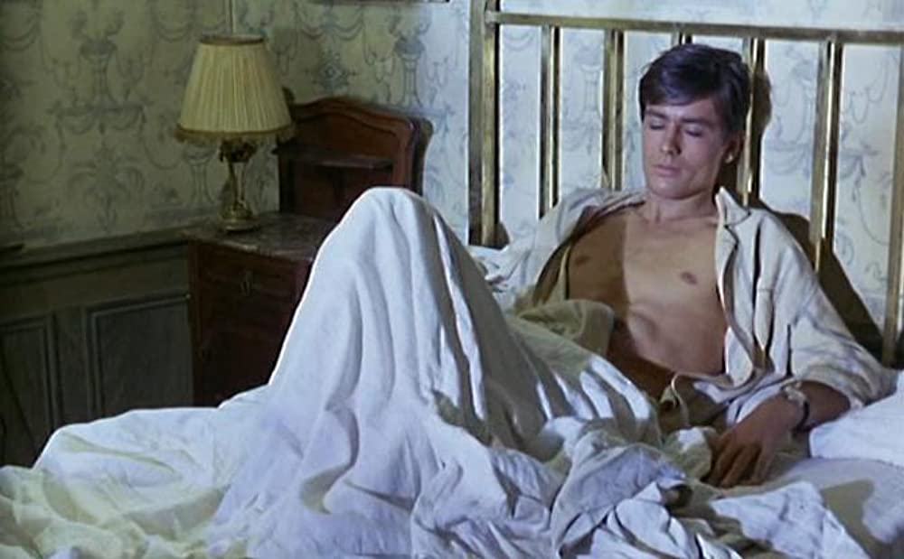 太陽がいっぱいの画像