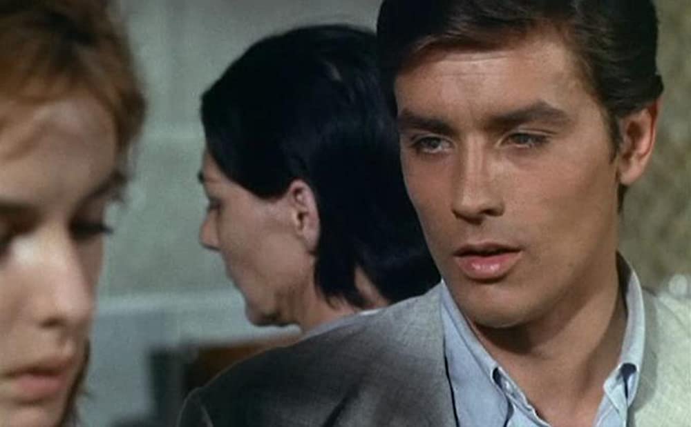 太陽がいっぱいの画像