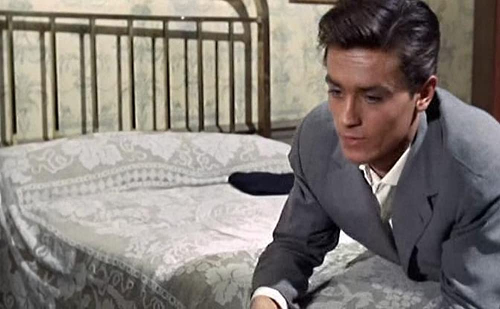 太陽がいっぱいの画像