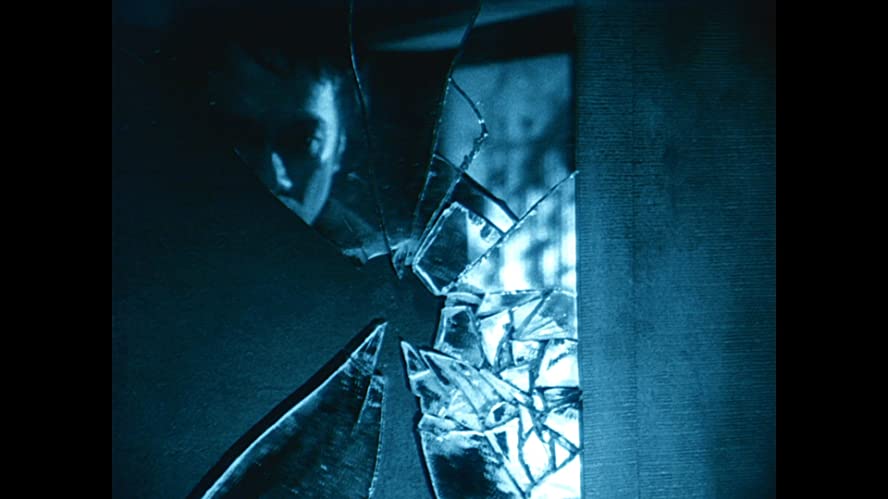 六月の蛇の画像